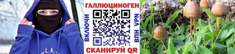 Галлюциногенные грибы MAGIC MUSHROOMS Таштагол