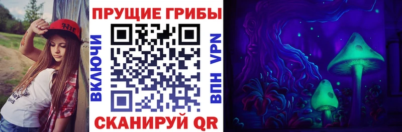 гидра tor  Таштагол  Галлюциногенные грибы MAGIC MUSHROOMS 